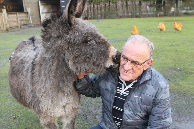 Henk van de Meulengraaf, oudere man met bril en jas, knielt bij een ezel die zijn hoofd raakt. Drie kippen op de achtergrond.