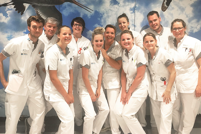 Twaalf verpleegkundigen in witte uniformen lachen voor een muurschildering met lucht en vogels in een medische omgeving.