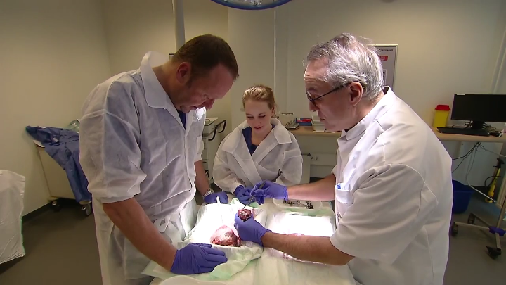 Drie artsen in witte jassen en blauwe handschoenen voeren een medische ingreep uit onder felle lampen in een operatiekamer.