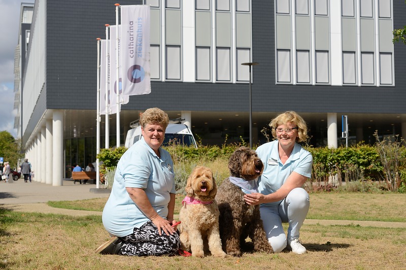 Twee vrouwen in blauwe uniformen knielen buiten bij een ziekenhuis met aangelijnde honden. Drie vlaggen en struiken op de achtergrond.