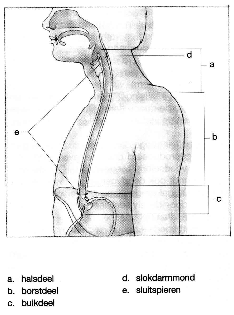 CHI010 A.jpg