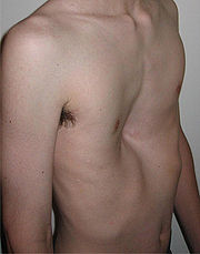CTC004 A.jpg