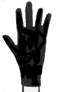 KIN011 B.png
