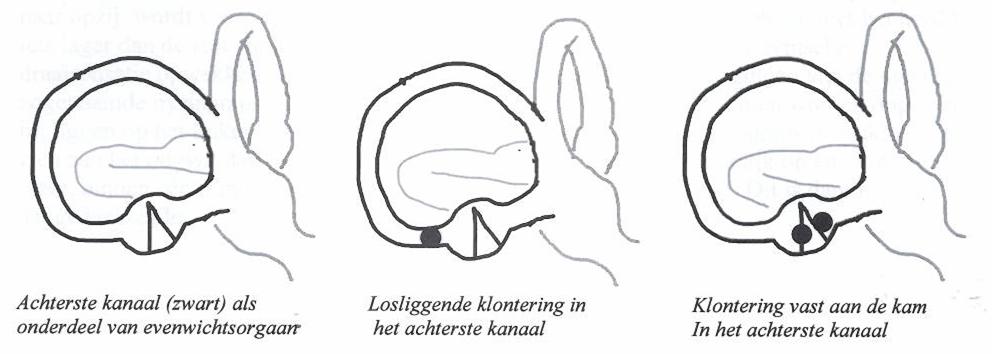 NEU002 A.png