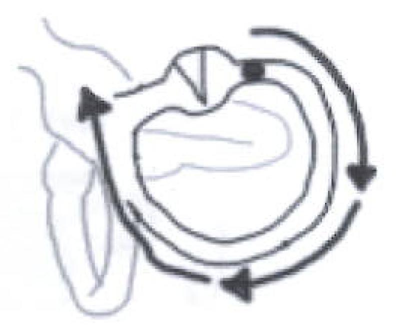 NEU002 C.png