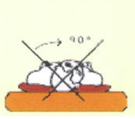 NEU002 H.png