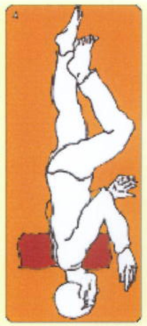 NEU002 K.png