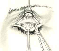 OOG001 C.jpg