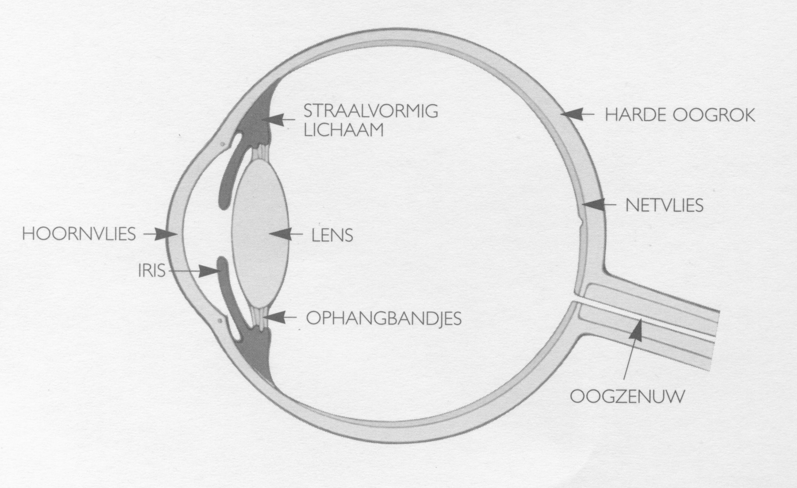 OOG012 A.jpg