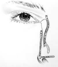 OOG021 A.jpg