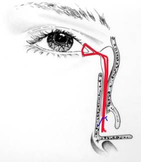 OOG021 C.jpg
