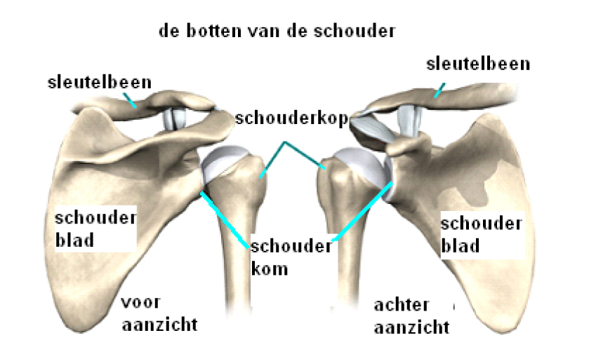 ORT021 A.jpg