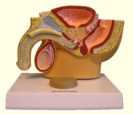 URO005 B.jpg