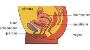 URO018 B.png