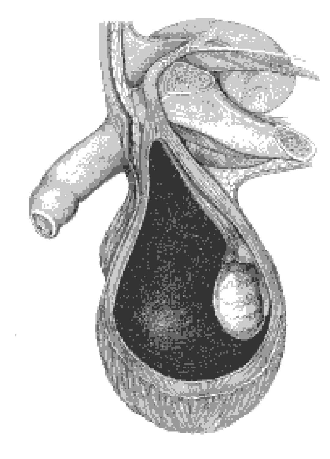 URO048 A.png