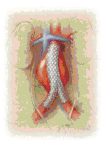 CHI054 A.tif