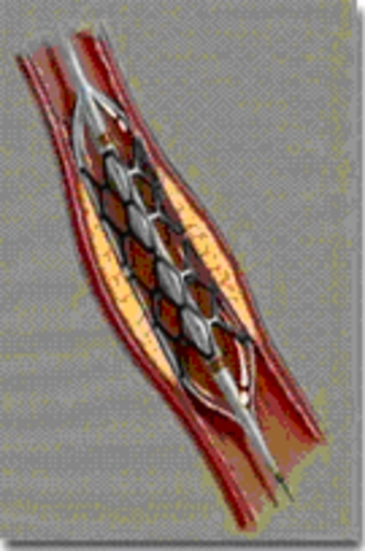 CHI054 C.tif