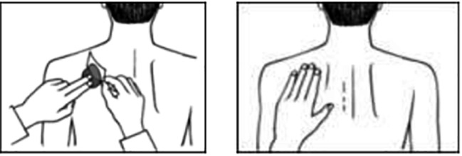 GER-012 plakken.png