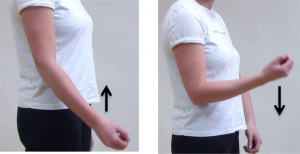 Twee afbeeldingen tonen een persoon in wit shirt: linker arm gestrekt met pijl omhoog, rechter arm gebogen met pijl omlaag.