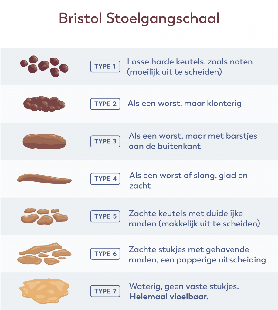 Nederlandse Bristol Stoelgangschaal met 7 stoelgangtypes, van harde keutels (1) tot waterdunne ontlasting (7).