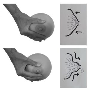 Twee zwart-witfoto's tonen een hand die een borstmodel samendrukt, met rechts schema's van melkstroompatronen.