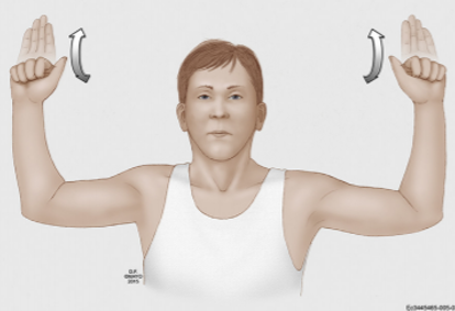 Persoon in wit hemd met beide armen omhoog, ellebogen 90 graden; pijlen bij handen tonen polsbeweging met fitnessapparaat.