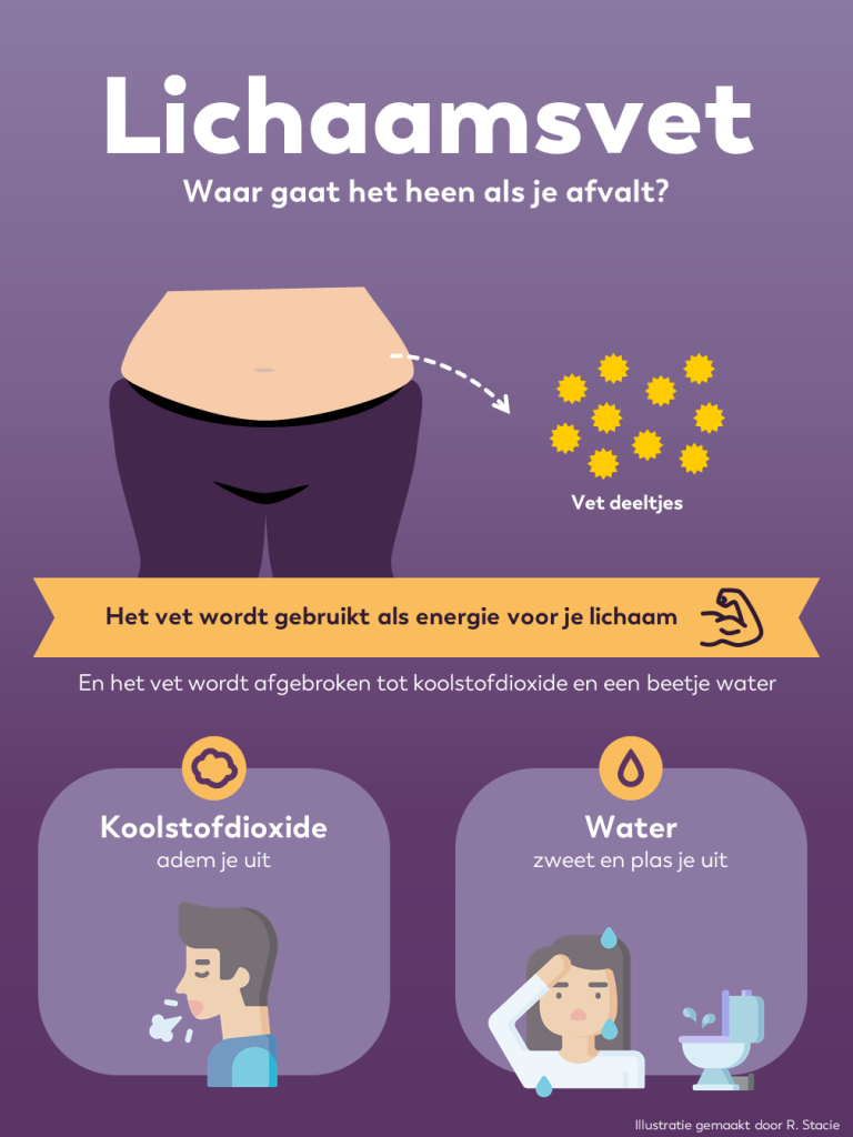 Lichaamsvet - Waar gaat het heen als je afvalt. Designed with Freepik parts