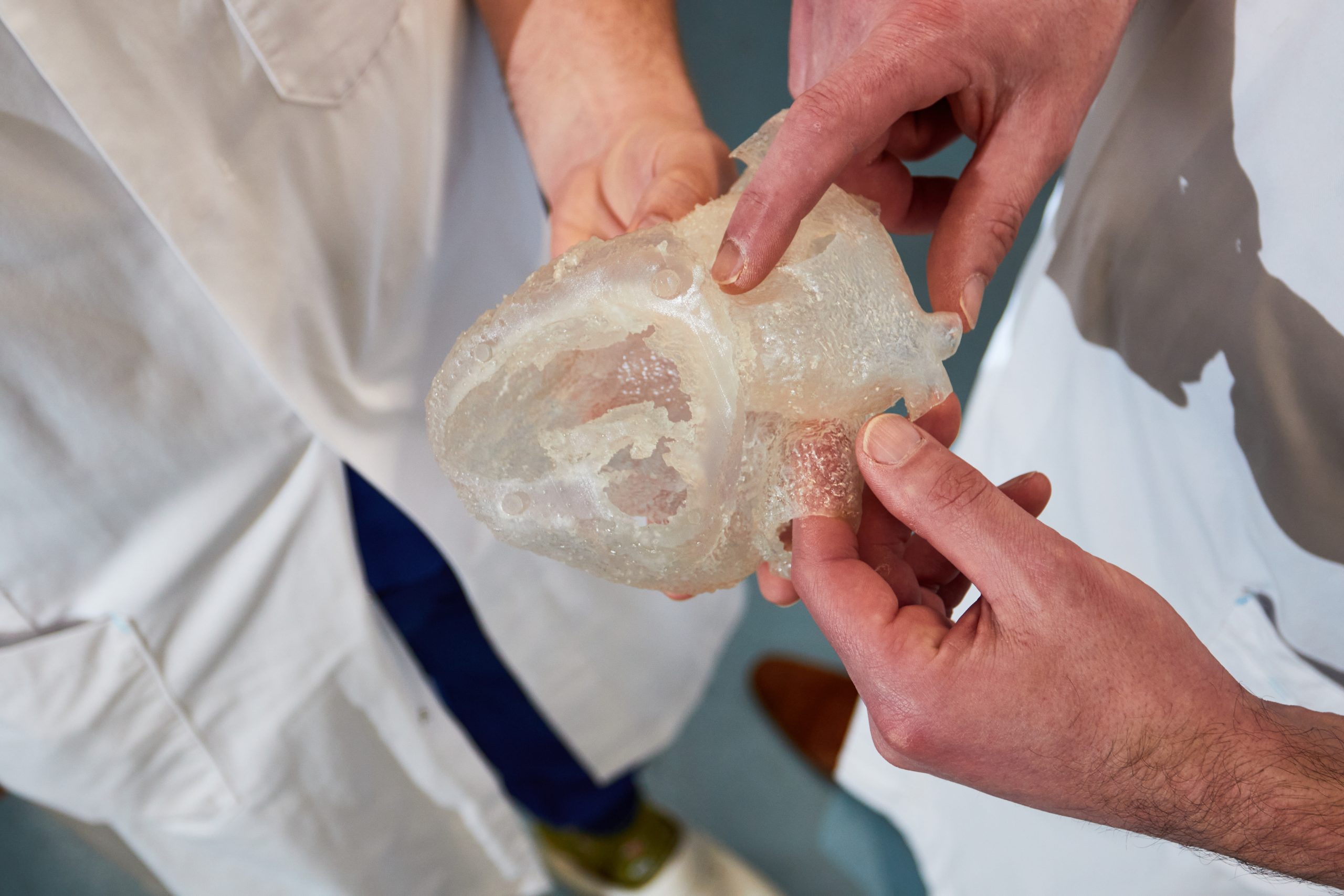 Twee mensen in witte jassen bekijken een transparant 3D-hartmodel; één wijst een specifiek deel aan.