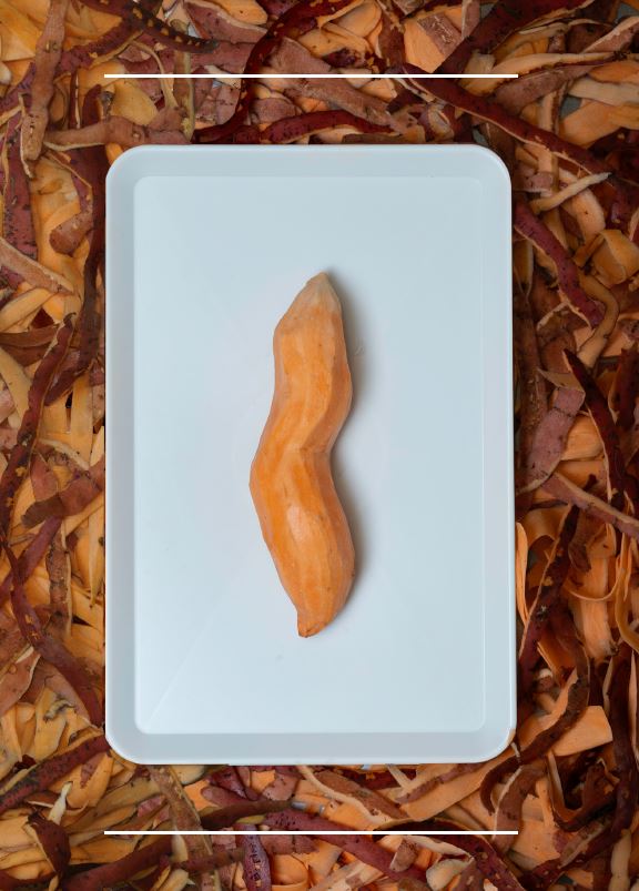 Een ongeschilde zoete aardappel ligt op een witte rechthoekige schaal, omringd door schillen.