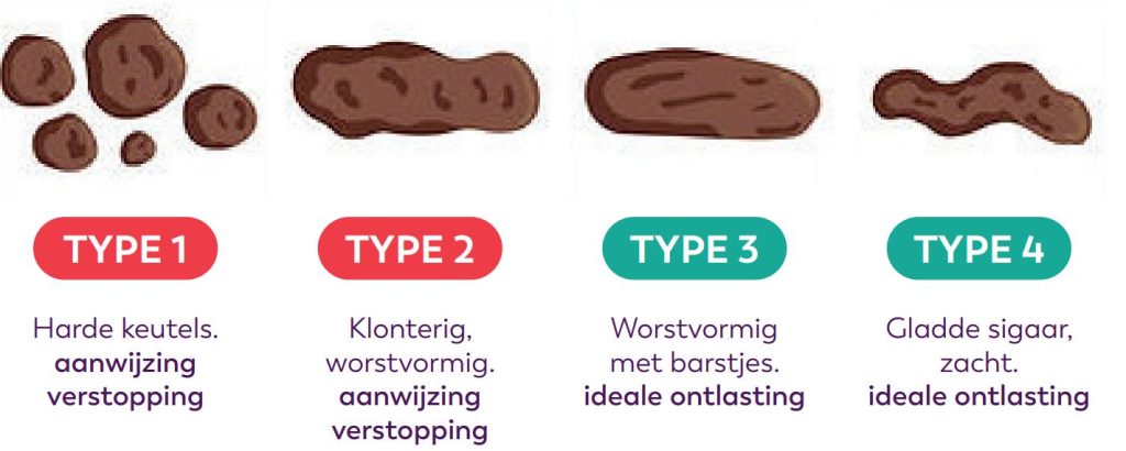 Vier geïllustreerde ontlastingstypes van harde keutels tot soepel, met uitleg en vezeladvies in het Nederlands.