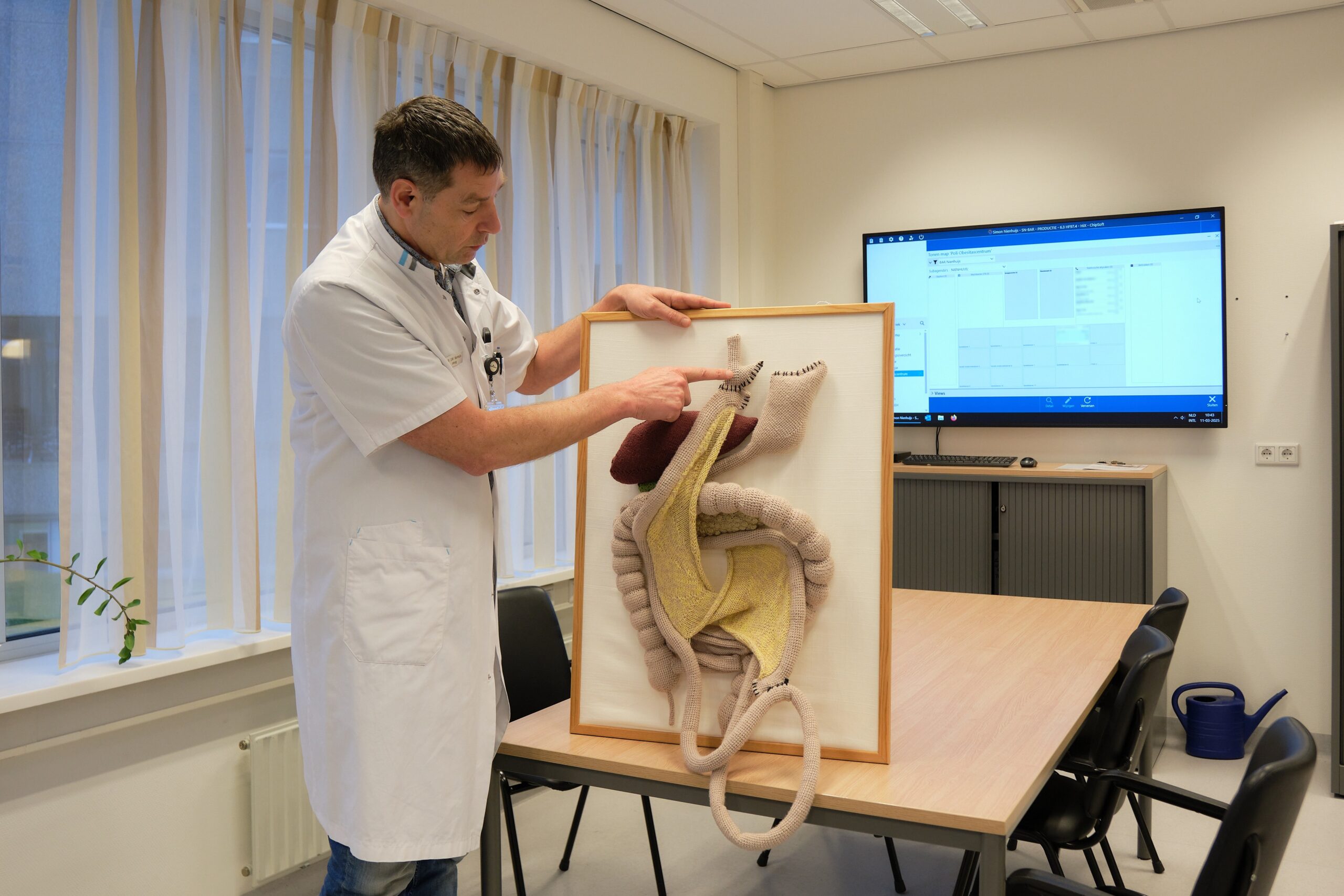 Arts wijst op groot model van spijsverteringsstelsel en licht behandeling bij obesitas toe in vergaderruimte met tafel en stoelen.