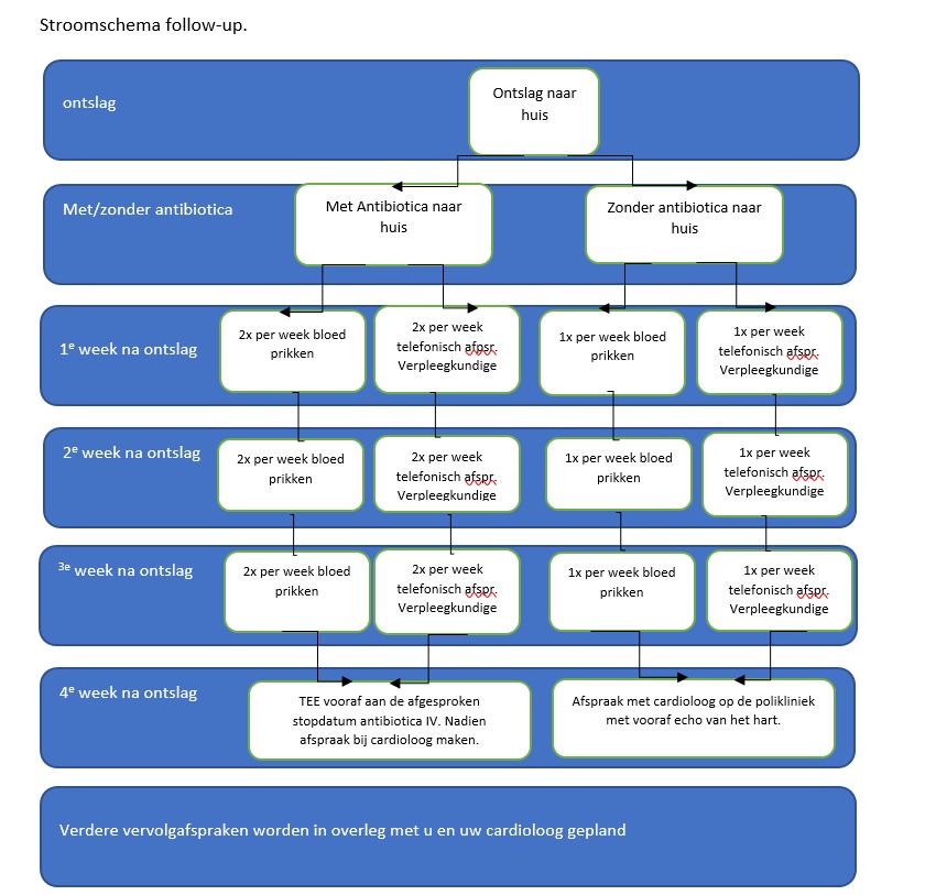 Stroomschema voor nacontrole endocarditis na ontslag, met/zonder antibiotica, gedurende zes weken.